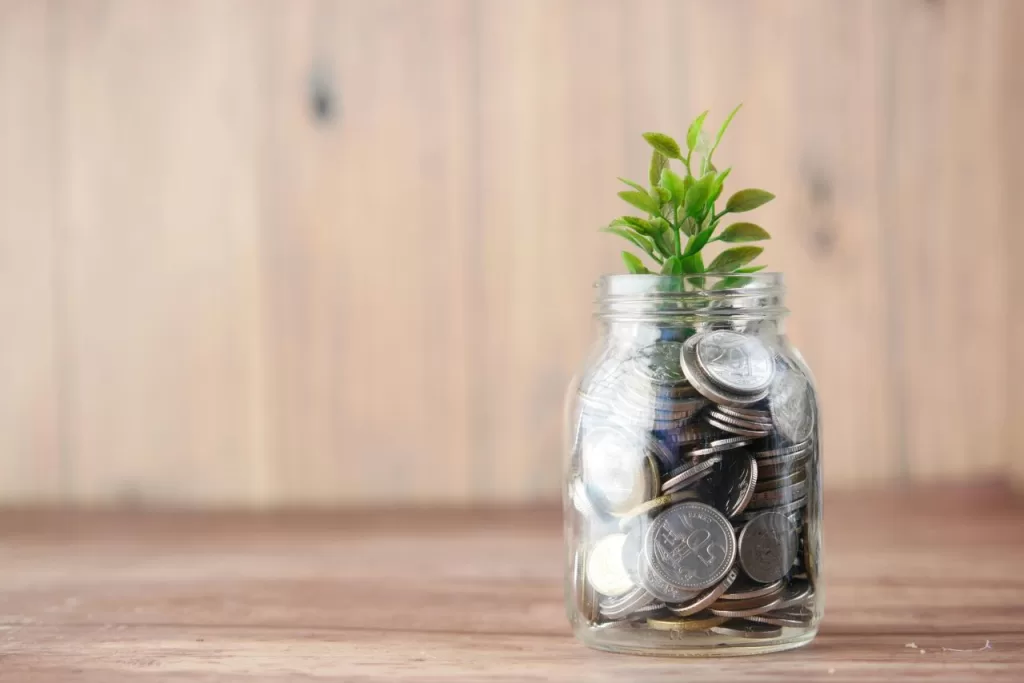 Sustainable Growth Strategy